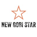 26  New gobi star