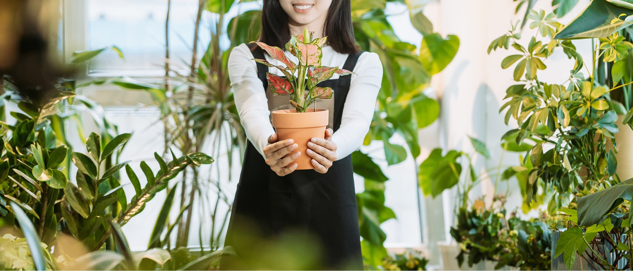 Даянсофт компанийн баг