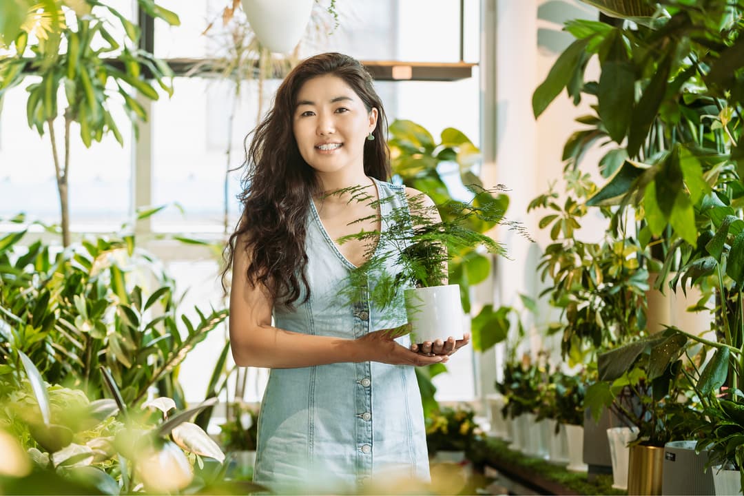 Ойм ногоон урлан ХХК