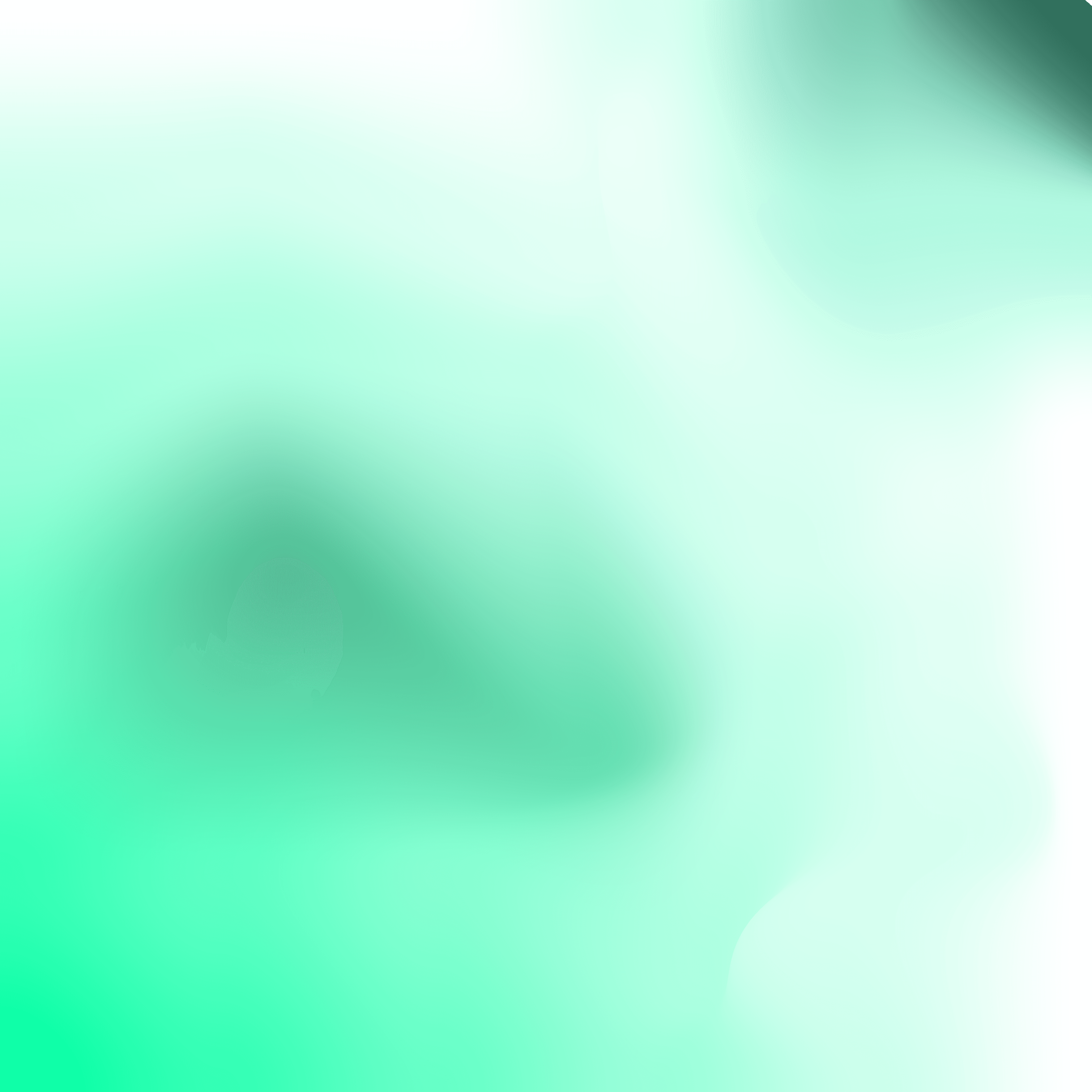 Төсөв, Гүйцэтгэл